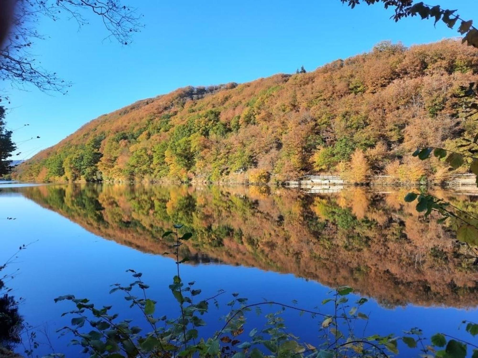Ferienhaus &#039Freund Am See&#039 3 Heimbach Esterno foto